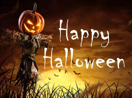 Halloween scarecrow in a spooky corn field